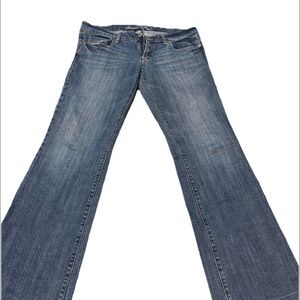 American Eagle Outfitters Blue Flare Jeans
